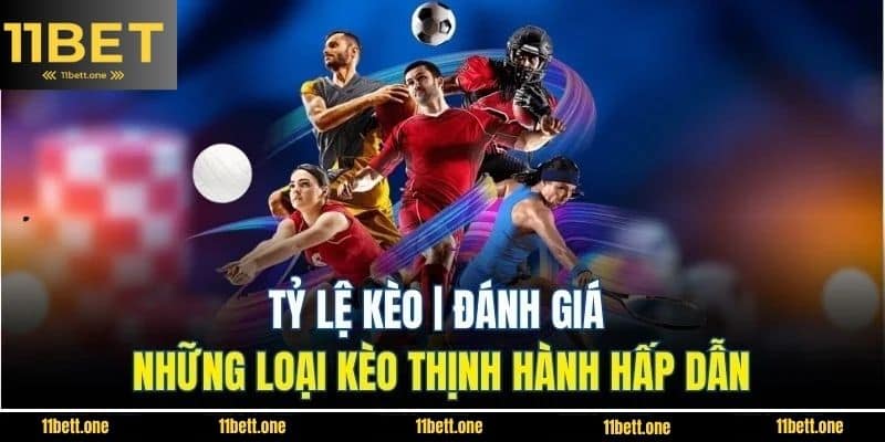 Tỷ Lệ Kèo | Đánh Giá Những Loại Kèo Thịnh Hành Hấp Dẫn